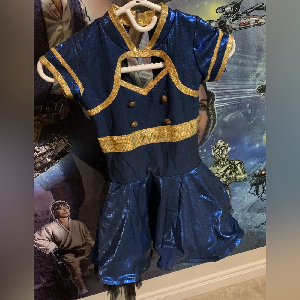 Girls Metallic Navy and Gold Costume